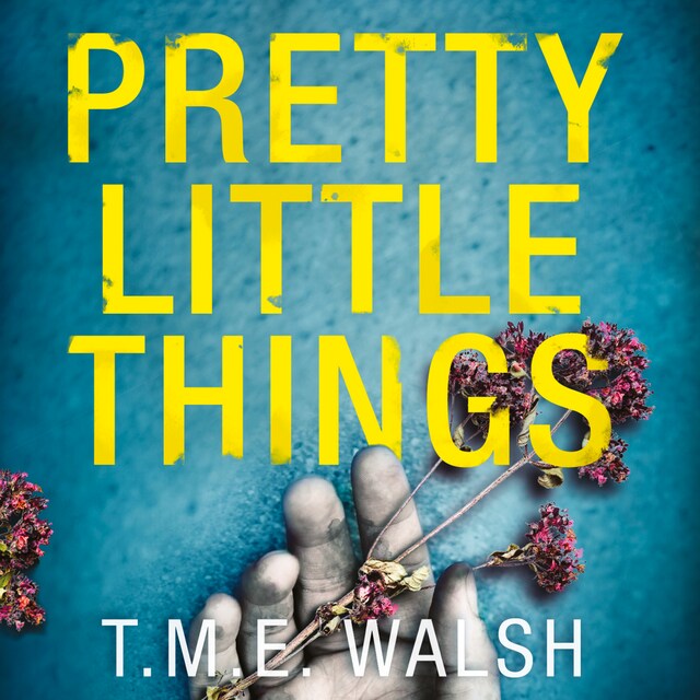 Book cover for Pretty Little Things