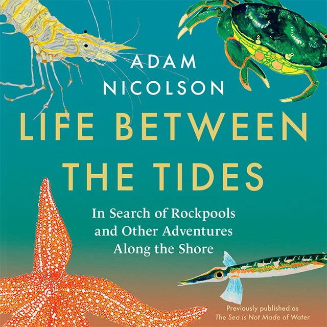 Buchcover für Life Between the Tides