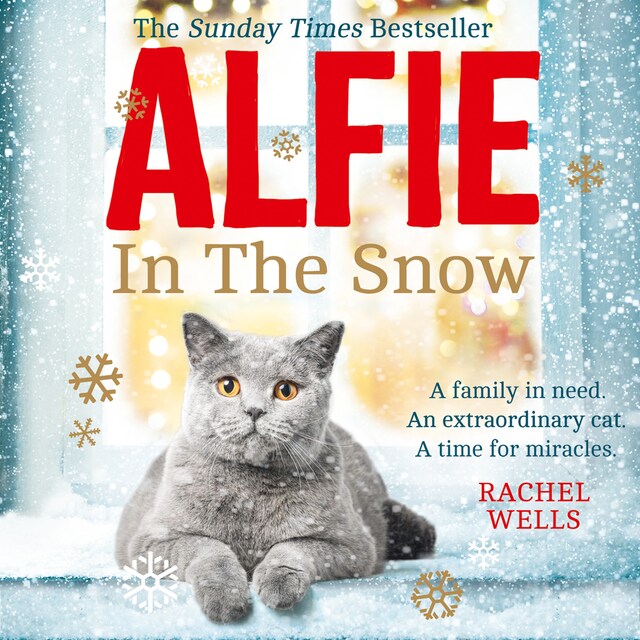Book cover for Alfie in the Snow