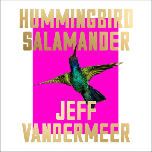 Buchcover für Hummingbird Salamander