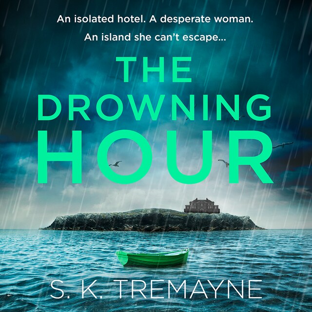 Book cover for The Drowning Hour