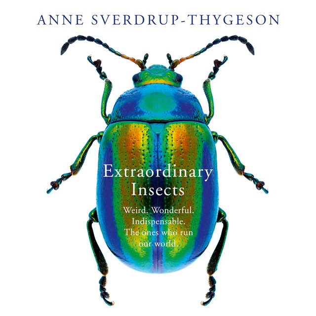 Book cover for Extraordinary Insects