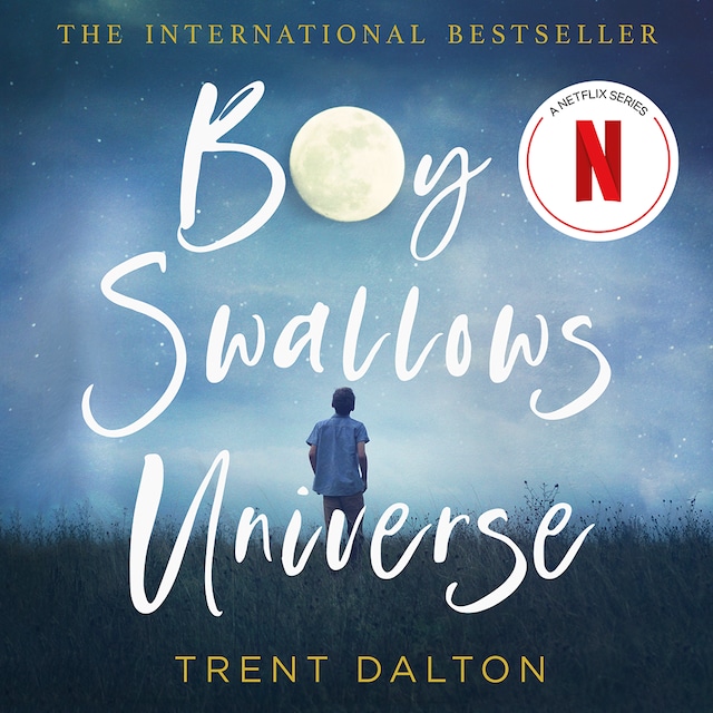 Book cover for Boy Swallows Universe