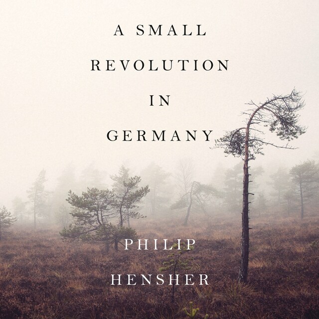 Couverture de livre pour A Small Revolution in Germany