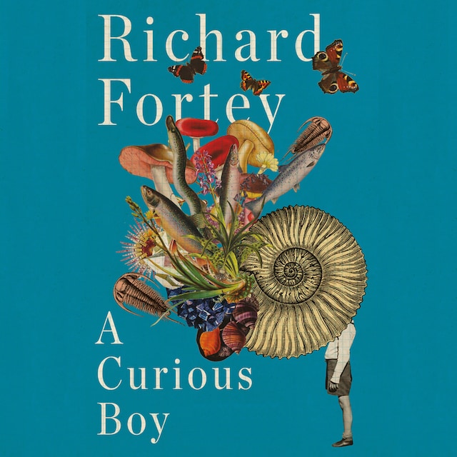 Book cover for A Curious Boy
