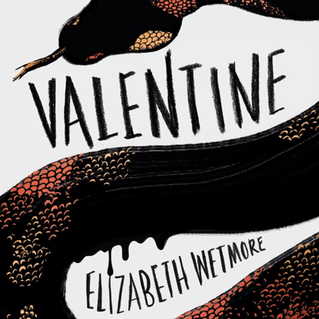 Book cover for Valentine