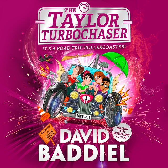 Book cover for The Taylor TurboChaser