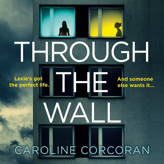 Book cover for Through the Wall