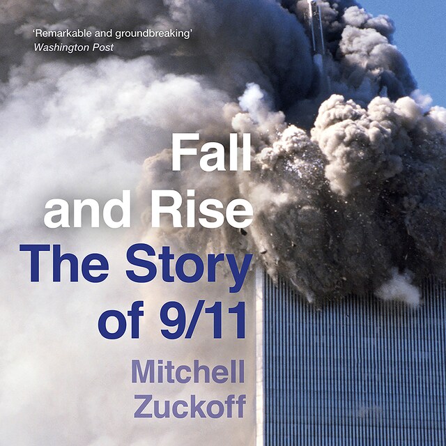 Buchcover für Fall and Rise: The Story of 9/11