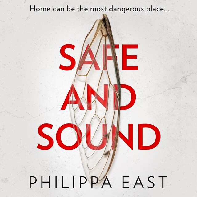 Portada de libro para Safe and Sound