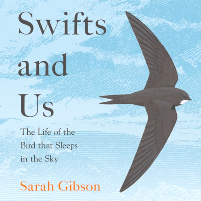 Boekomslag van Swifts and Us