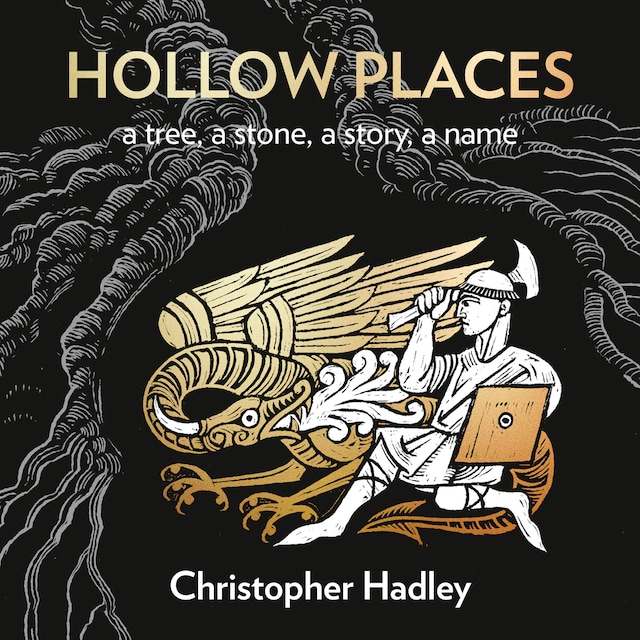 Kirjankansi teokselle Hollow Places