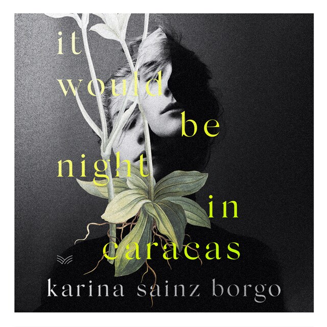Book cover for It Would Be Night in Caracas