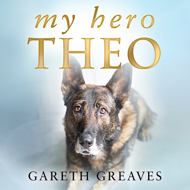Book cover for My Hero Theo
