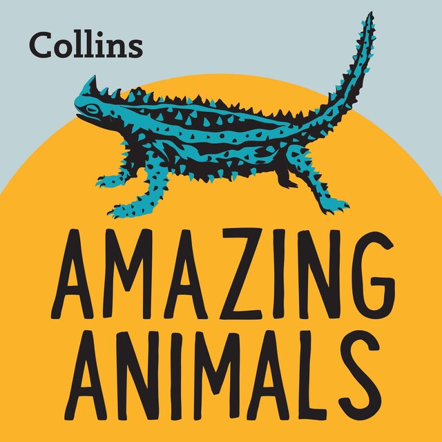 Book cover for Collins