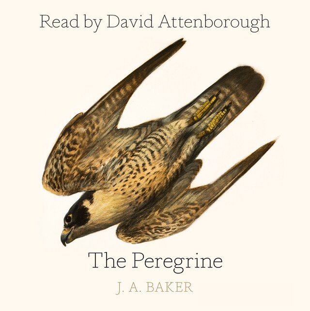 Boekomslag van The Peregrine