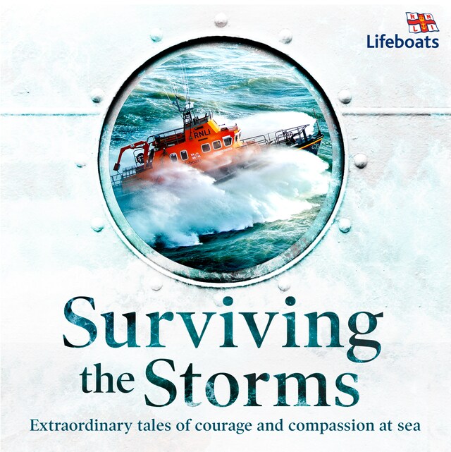 Buchcover für Surviving the Storms