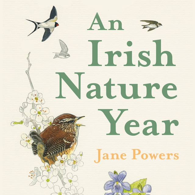 Book cover for An Irish Nature Year