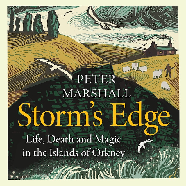 Book cover for Storm’s Edge