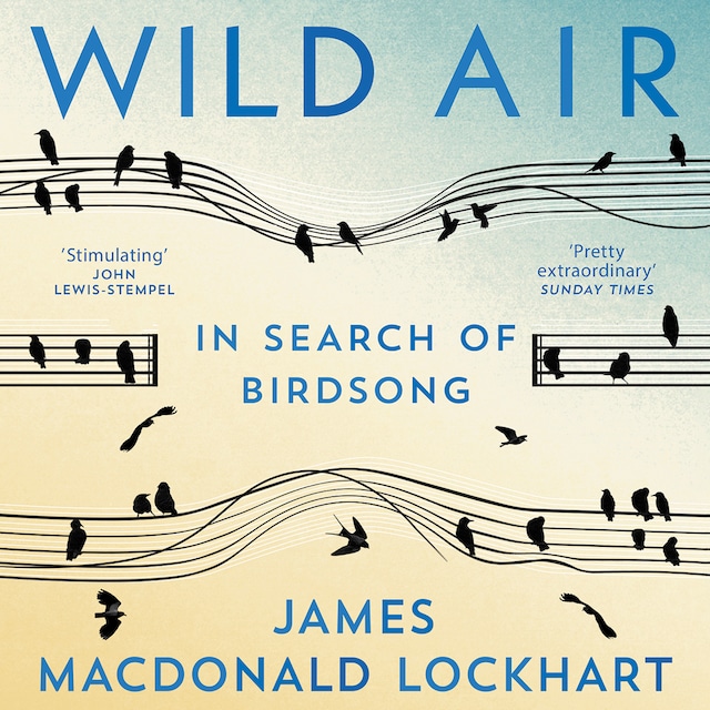 Book cover for Wild Air