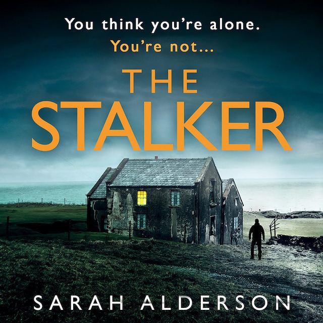 Buchcover für The Stalker