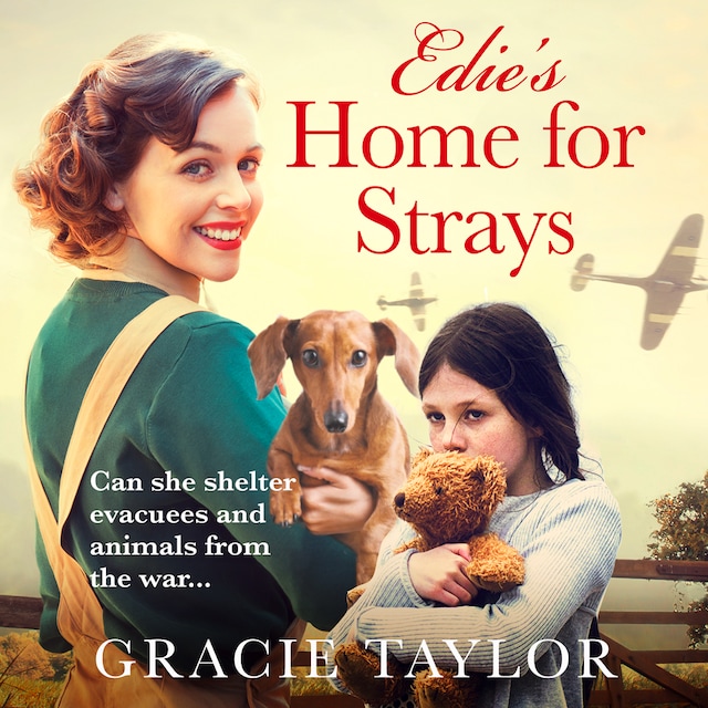 Book cover for Edie’s Home for Strays