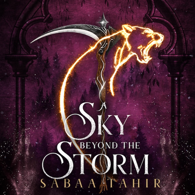 Book cover for A sky beyond the storm