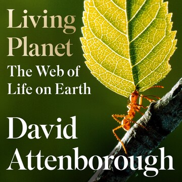 bookCoverFor