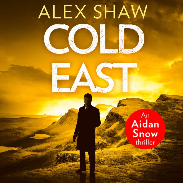 Book cover for Cold East
