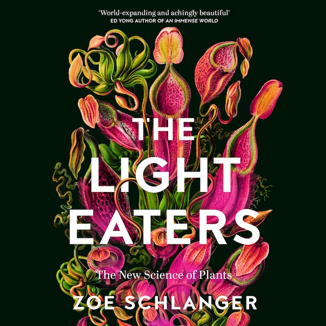 Book cover for The Light Eaters