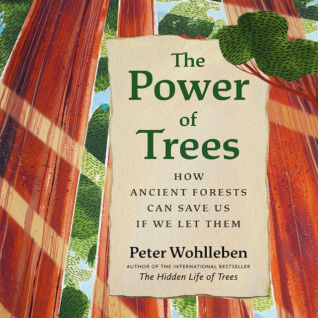 Okładka książki dla The Power of Trees