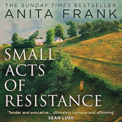 Small Acts of Resistance