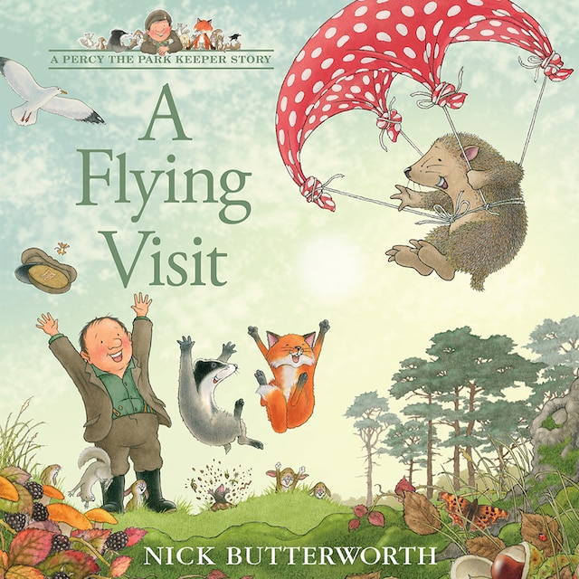 Buchcover für A Flying Visit
