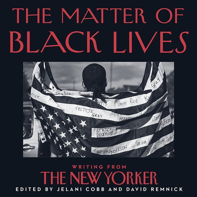 Couverture de livre pour The Matter of Black Lives