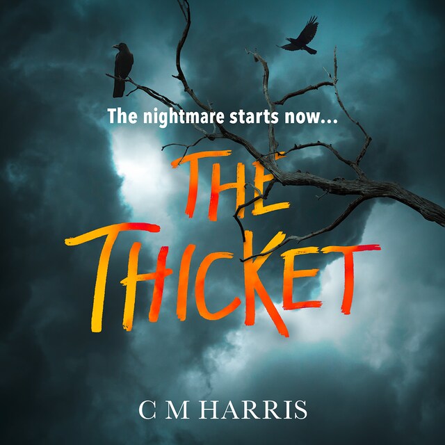 Book cover for The Thicket