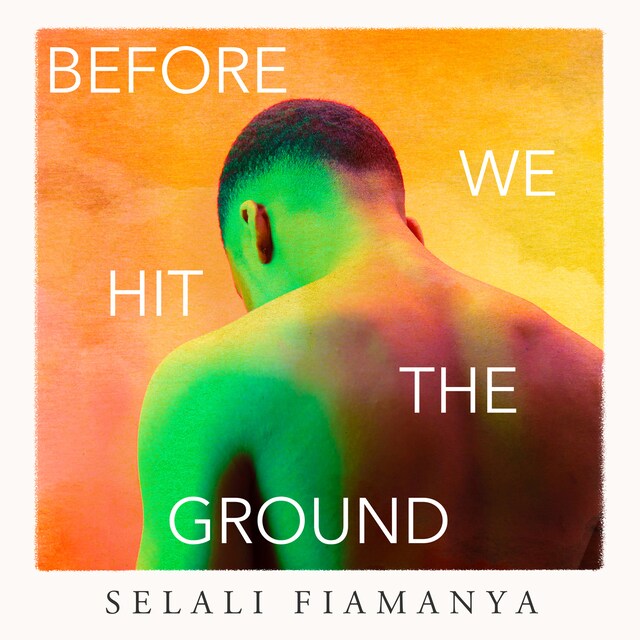Book cover for Before We Hit the Ground
