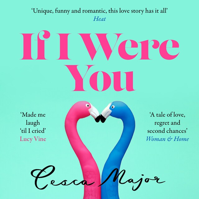 Book cover for If I Were You