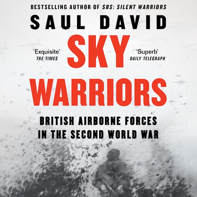 Bokomslag för Sky Warriors