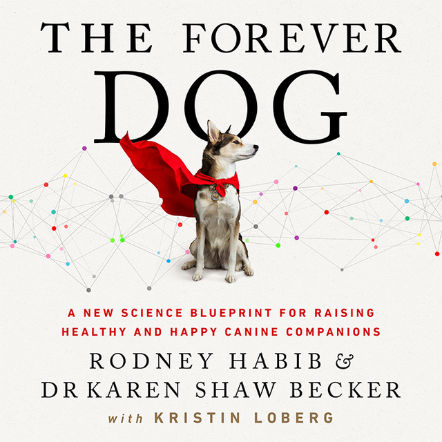 Book cover for The Forever Dog