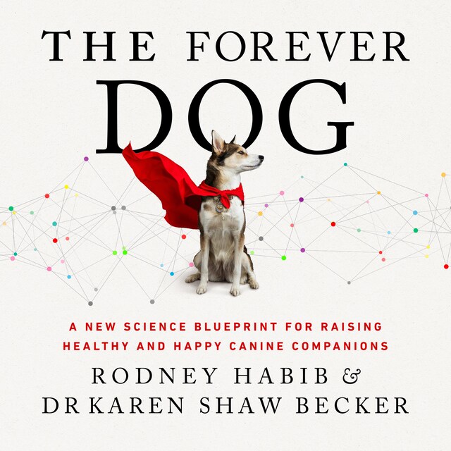 Book cover for The Forever Dog