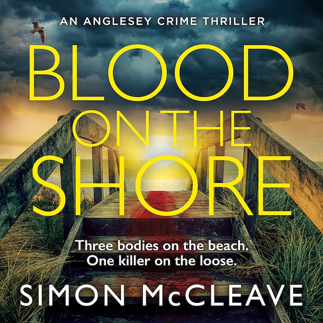 Boekomslag van Blood on the Shore