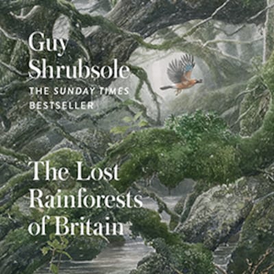 bookCoverFor