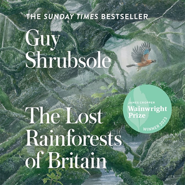 Book cover for The Lost Rainforests of Britain