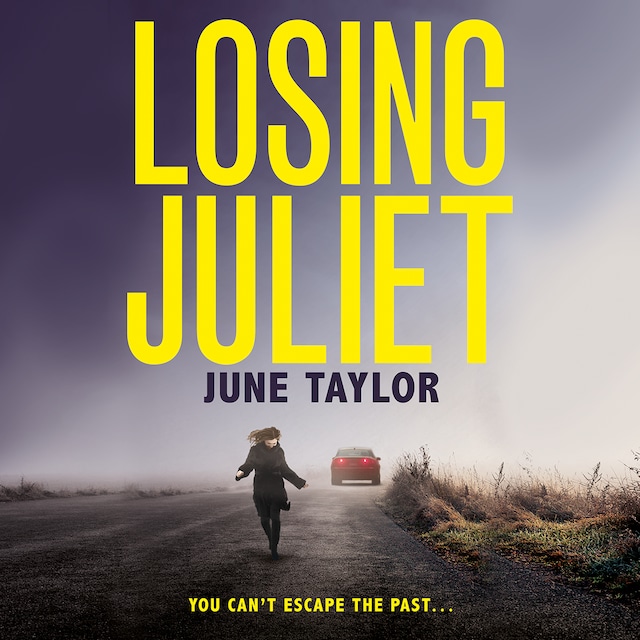 Book cover for Losing Juliet