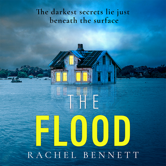 Couverture de livre pour The Flood