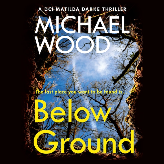 Buchcover für Below Ground