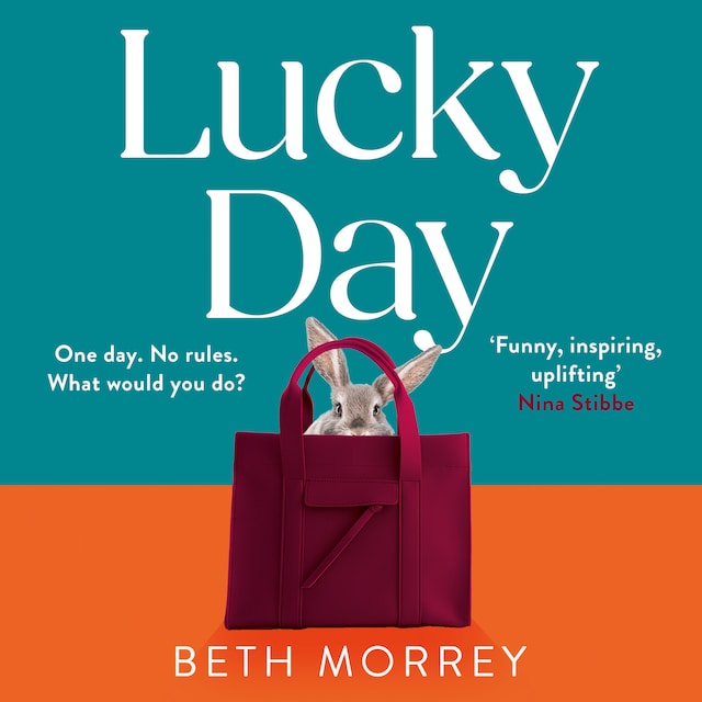 Book cover for Lucky Day