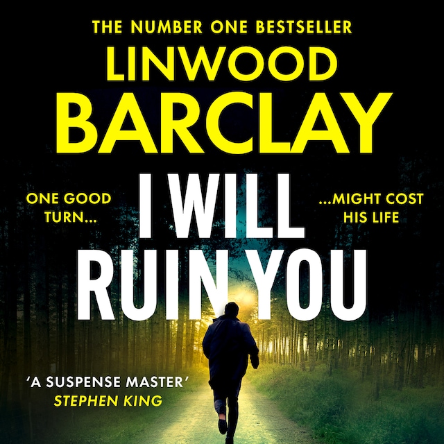 Book cover for I Will Ruin You