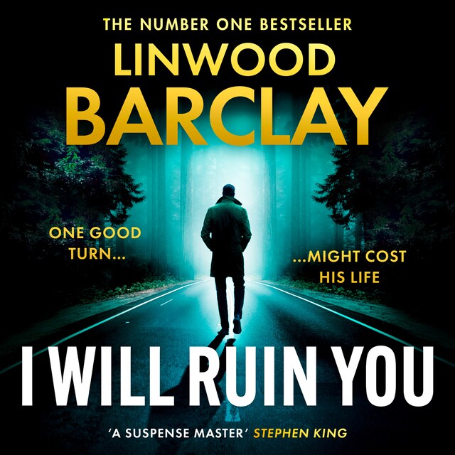 Buchcover für I Will Ruin You