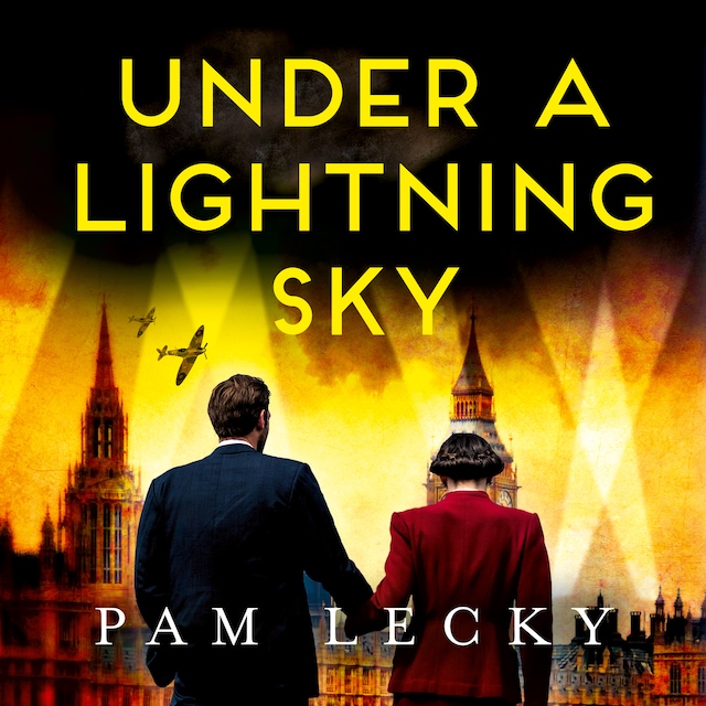 Buchcover für Under a Lightning Sky